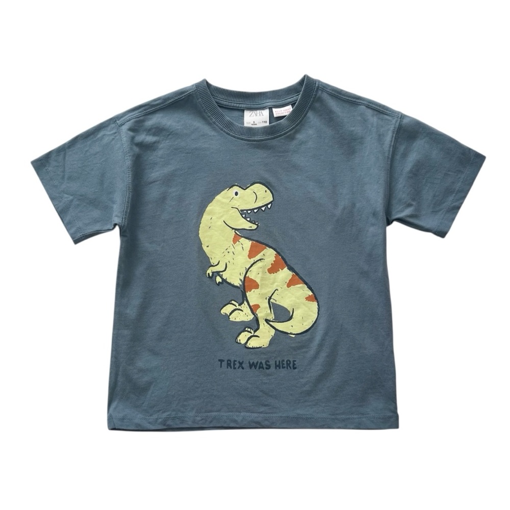Zara kids size 5Y T-Rex tee